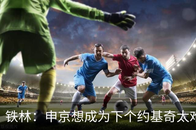 铁林：申京想成为下个约基奇太难了 火箭频繁变动影响了他的性格